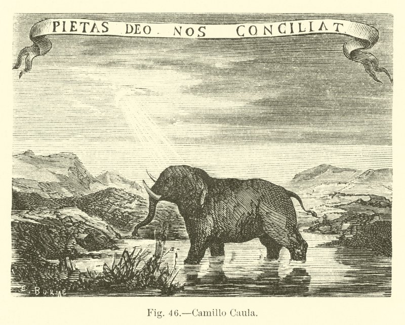 Camillo Caula de English School