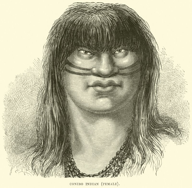Canibo indiano, feminino de English School