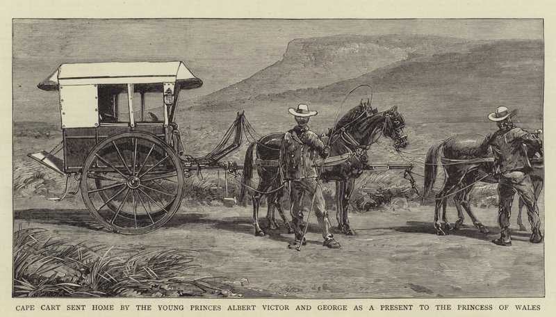 Cape Cart enviado para casa pelos jovens príncipes Albert Victor e George como presente para a princesa de Gales (gravura) de English School