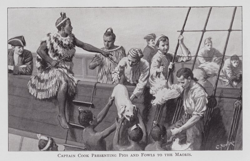 Capitão Cozinheiro Apresentador de Porcos e Galinhas aos Maoris (litho) de English School
