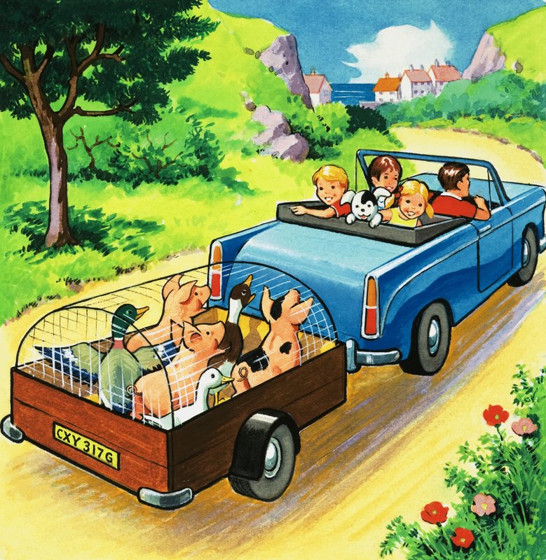 Carro puxando um trailer de animais de capoeira de English School