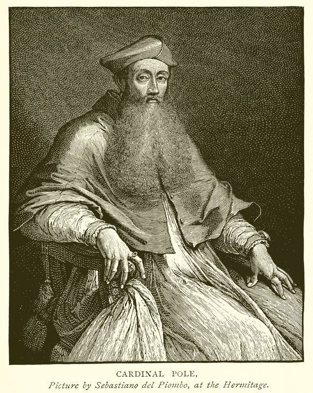 Pólo Cardinal de English School