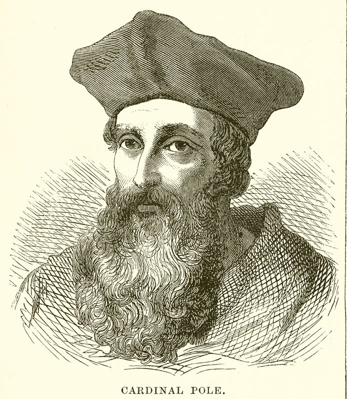 Pólo Cardinal de English School