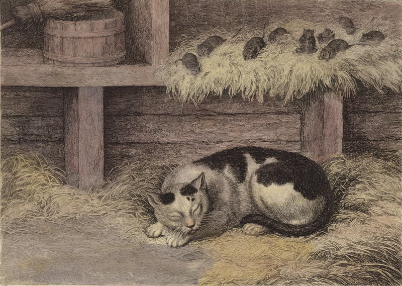 Gato e ratos em um celeiro (gravura matizada) de English School