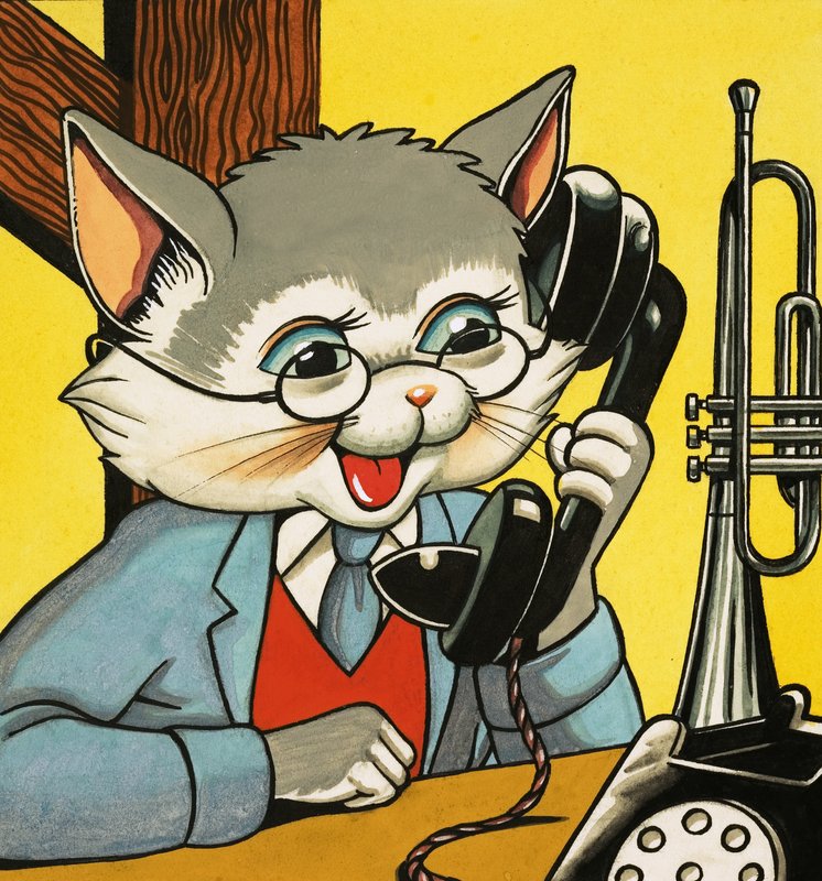 Gato atendendo o telefone de English School