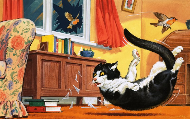 Gato caindo pela janela de vidro de English School