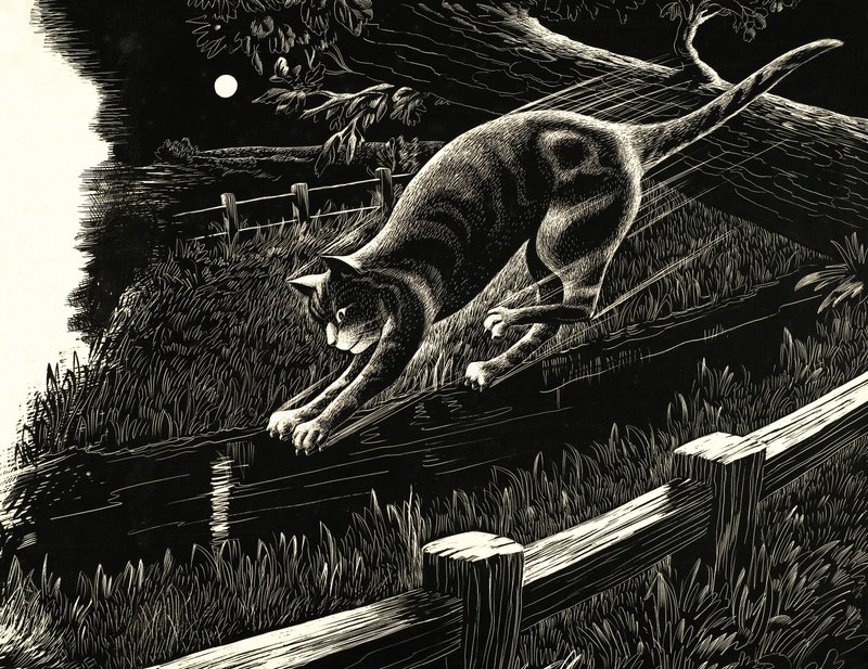 Gato pulando de galho de English School