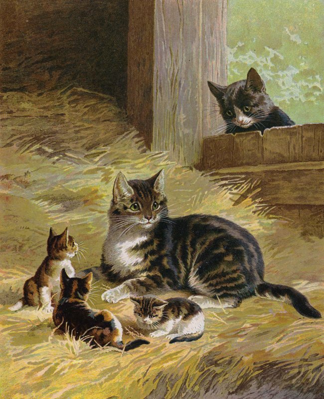 Gato com seus gatinhos em um celeiro (chromolitho) de English School