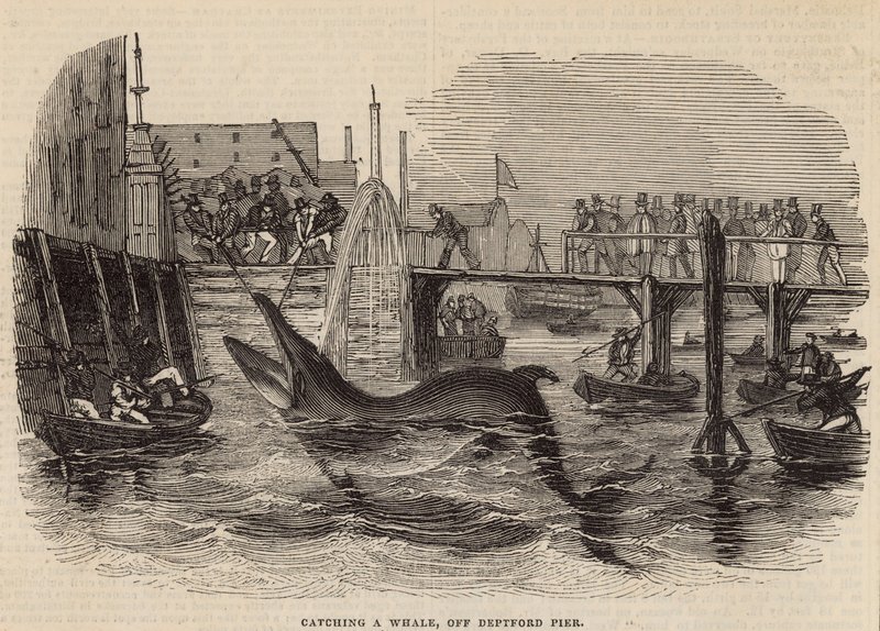 Pegando uma baleia em Deptford Pier de English School