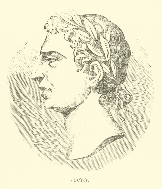 Cato de English School