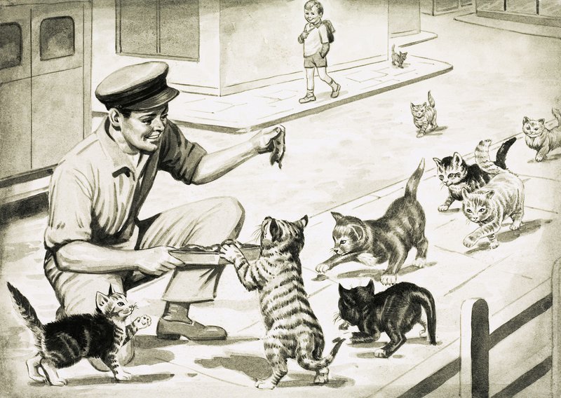 Os gatos vêm cumprimentar o homem da carne do gato de English School