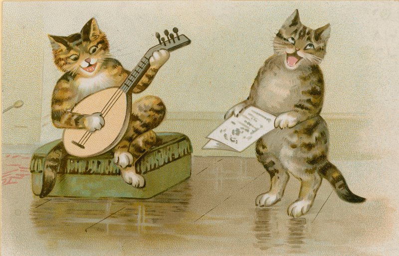 Gatos fazendo música de English School