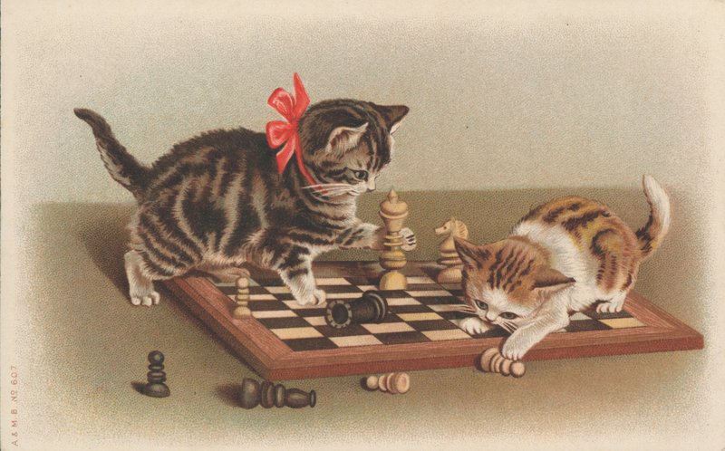 Gatos jogando xadrez de English School