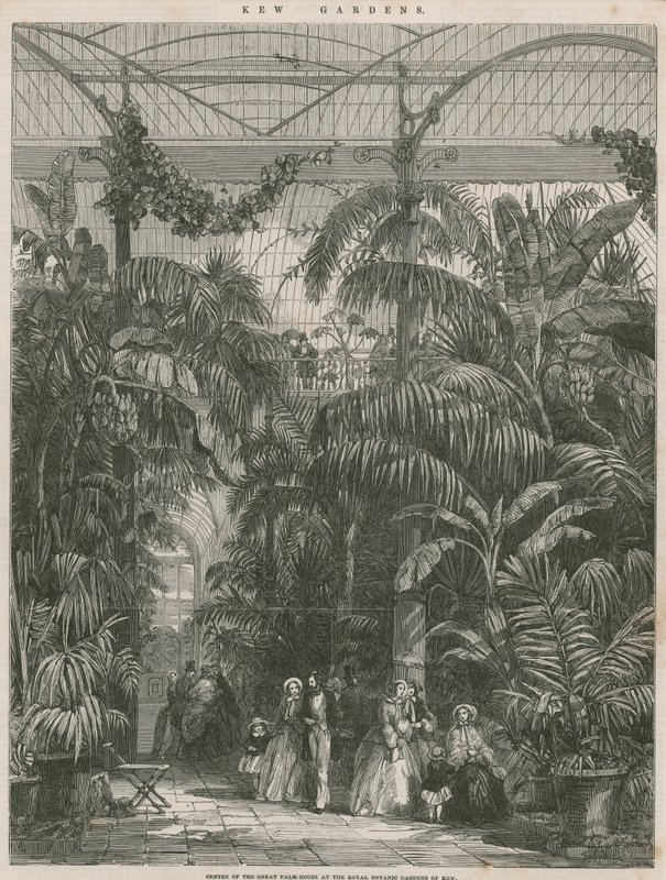 Centro da Grande Casa de Palma no Royal Botanic Gardens of Kew de English School