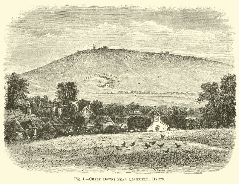 Chalk Downs perto de Clanfield, Hants de English School