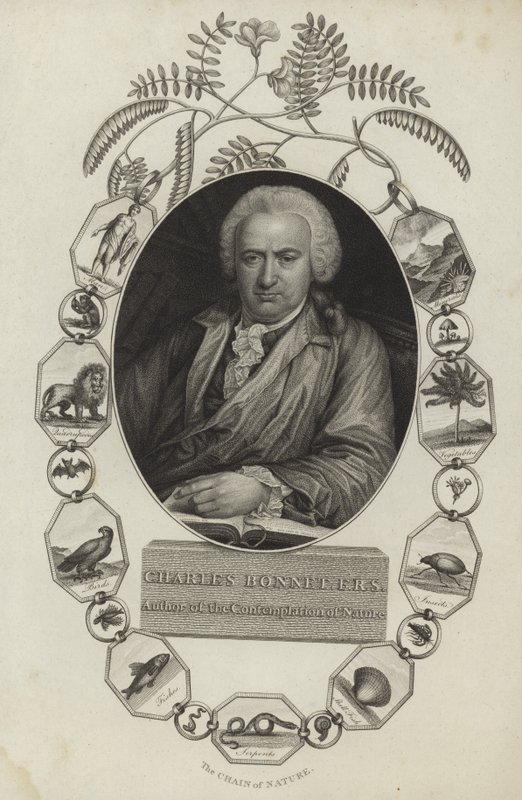 Charles Bonnet de English School