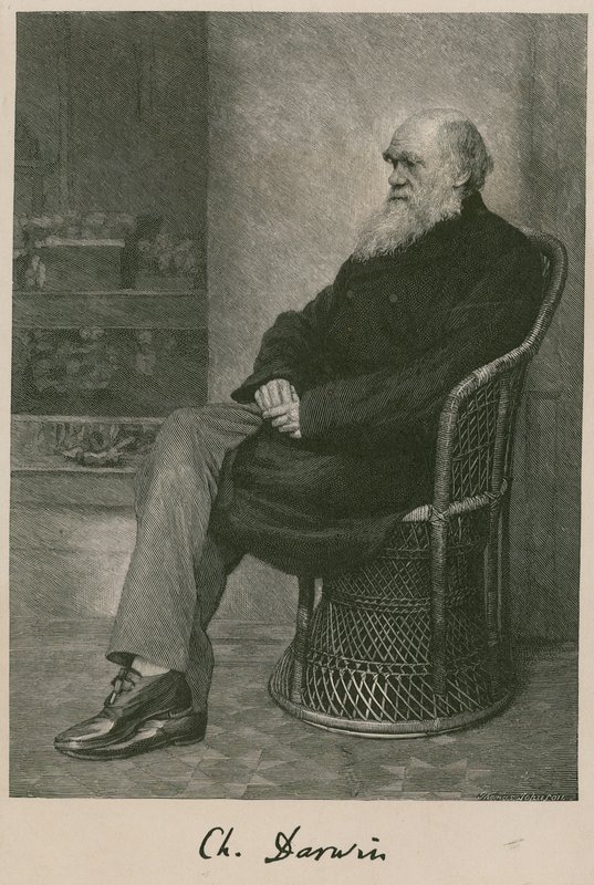 Charles Darwin de English School