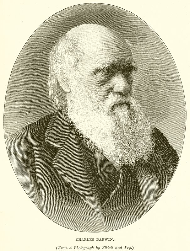Charles Darwin de English School