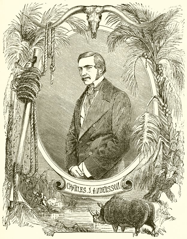 Charles J Anderson de English School