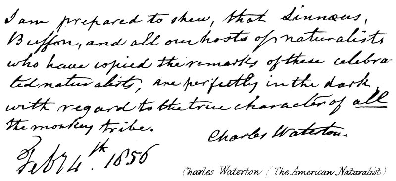 Charles Waterton (o naturalista americano) de English School