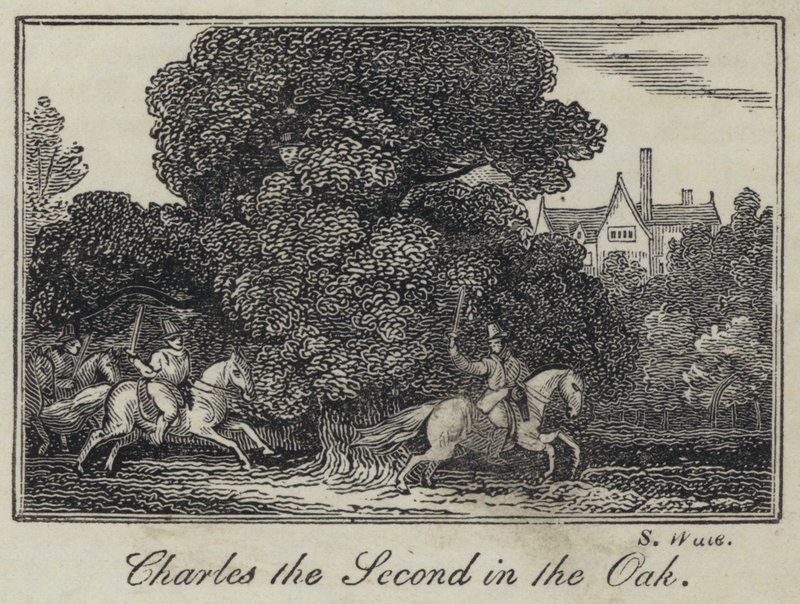Charles the Second in the Oak (gravura) de English School