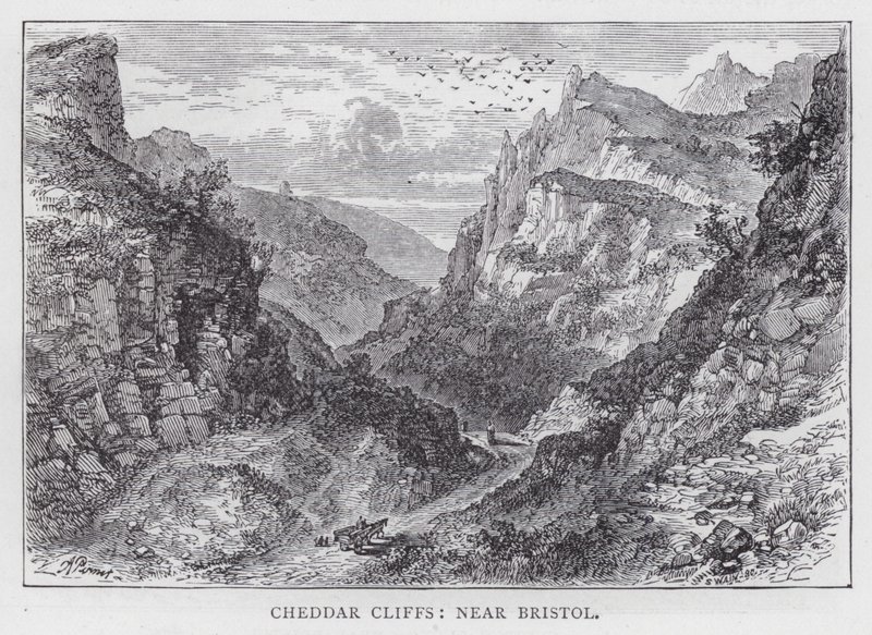 Cheddar Cliffs, perto de Bristol (gravura) de English School