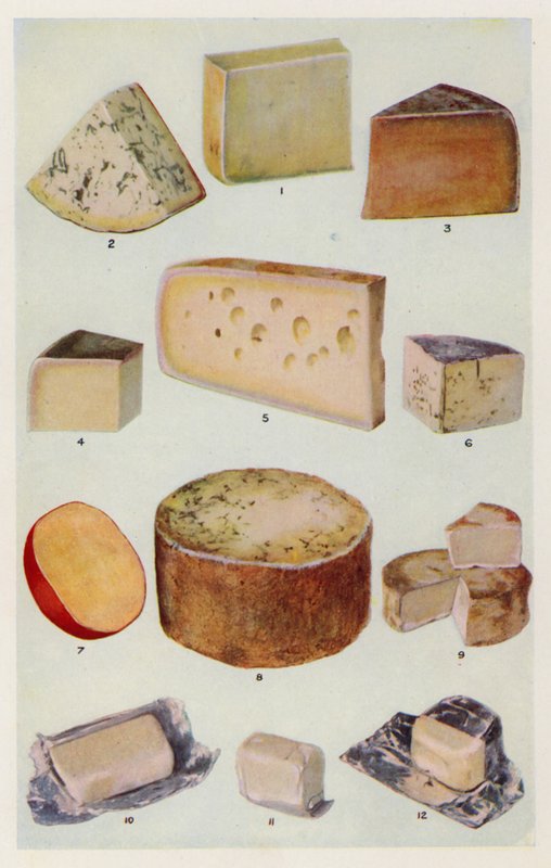 Cheddar; Gorgonzola; Double Gloster; Parmesão; Gruyère; Roquefort; Dutch; Stilton; Camembert; St Ives; Creme (litografia a cores) de English School