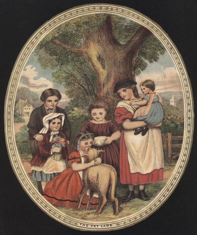 Crianças cuidando do seu cordeiro de estimação (gravura colorida) de English School