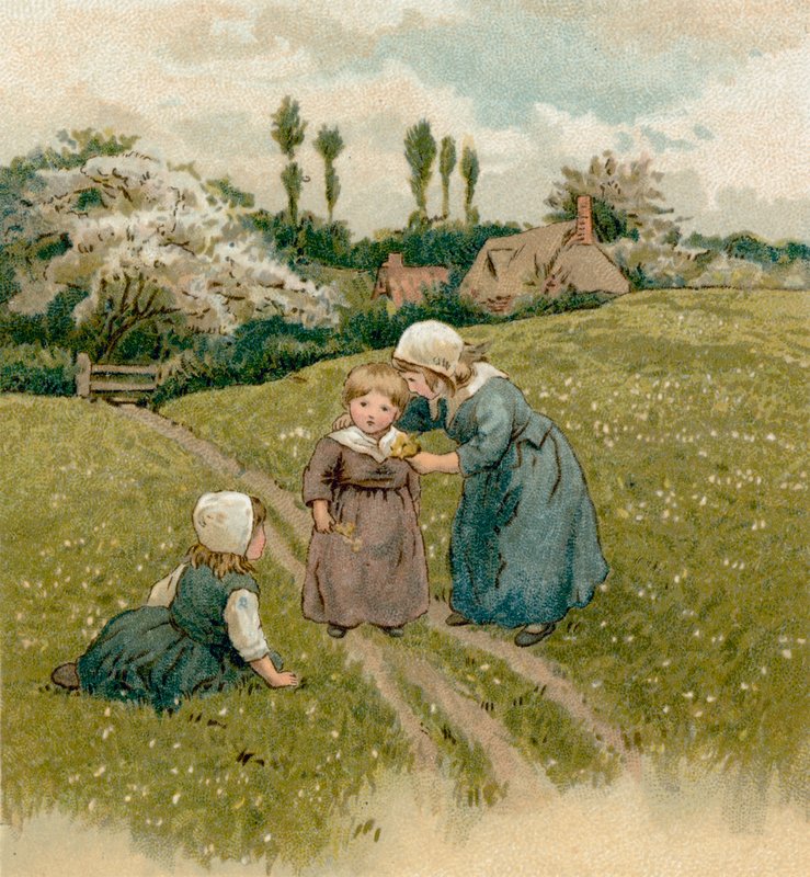 Filhos dos Padres Peregrinos de English School