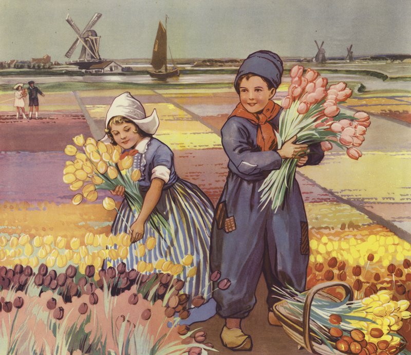 Crianças a apanhar tulipas na Holanda (litografia a cores) de English School
