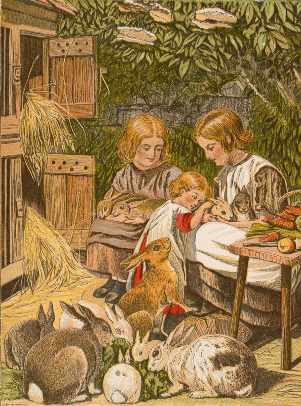 Crianças com os seus coelhos de estimação (litografia a cores) de English School