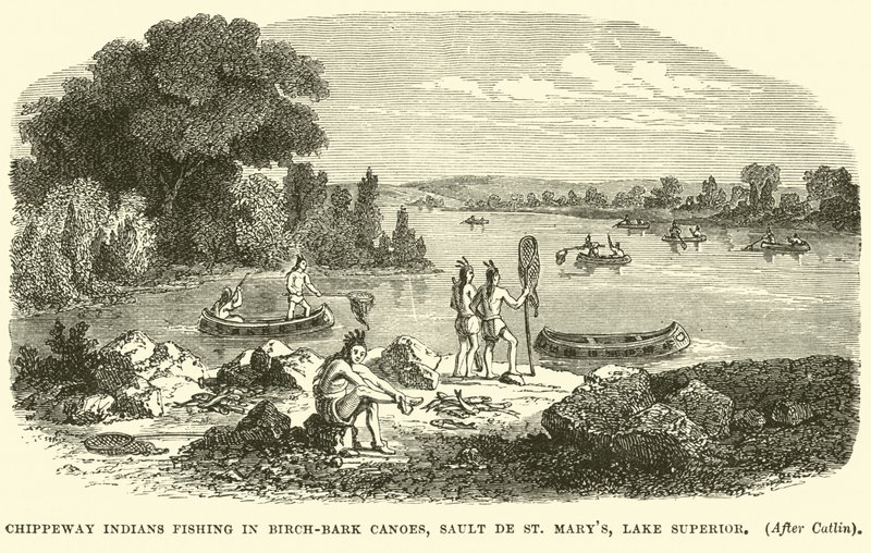 Índios Chippeway, pesca, em, Birch-bark, canoas, Sault, de, st, marys, superior lago de English School