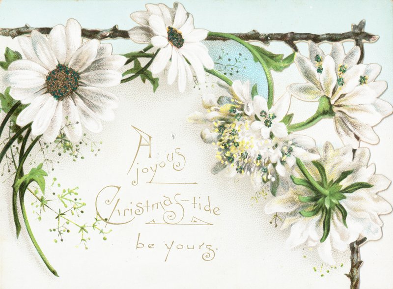 Flores De Natal, Cartão De Natal de English School