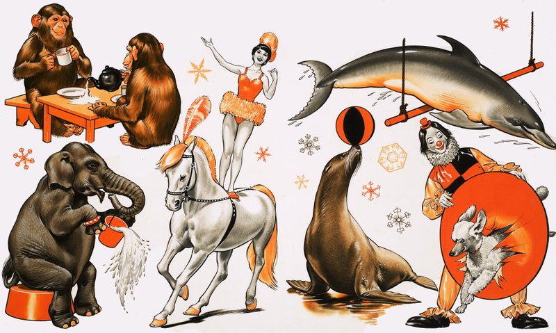 Montagem de circo de English School