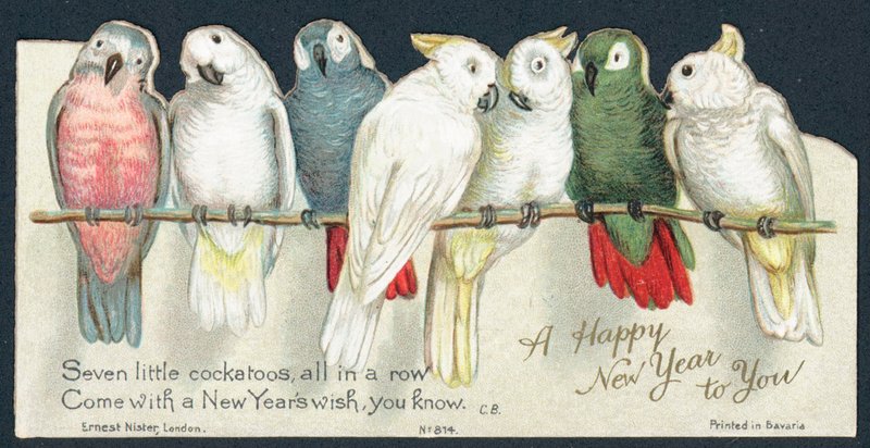 Cockatoos, cartão de ano novo de English School