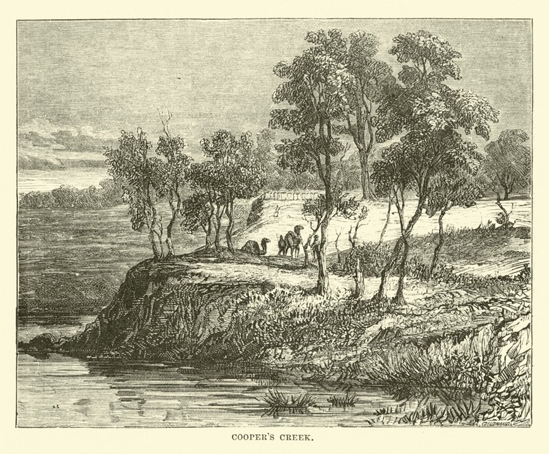 Coopers Creek de English School
