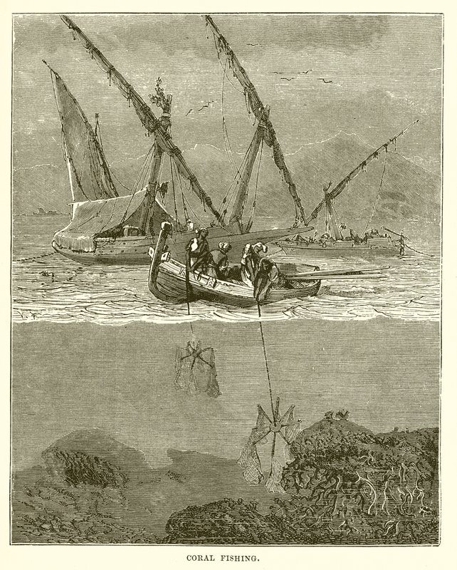 Pesca coral de English School
