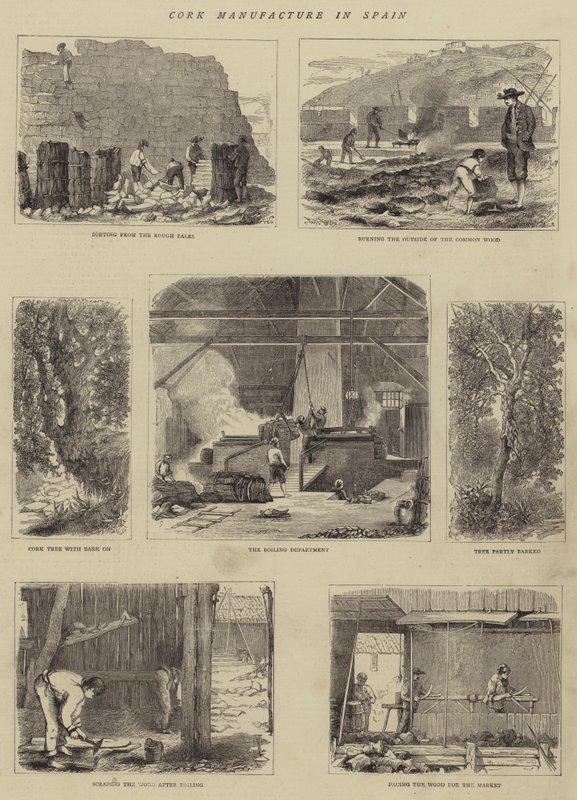 Fabricação de cortiça em Espanha (gravura) de English School