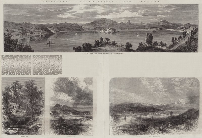 Coromandel Gold-Diggings, Nova Zelândia (gravura) de English School