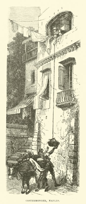 Costermonger, Nápoles de English School
