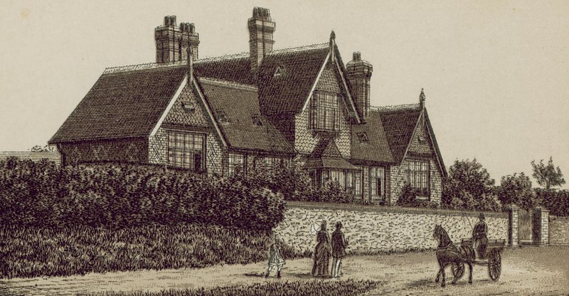 Cottage Hospital, Petersfield (litografia) de English School
