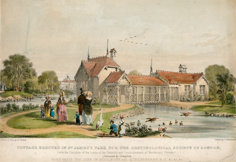 Cottage erigido em St Jamess Park para a Sociedade Ornitológica de Londres de English School