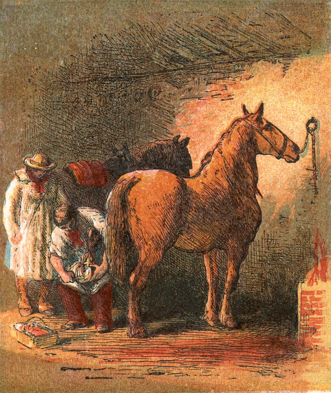 Ferreiro do país que calça o cavalo do carteiro do fazendeiro de English School