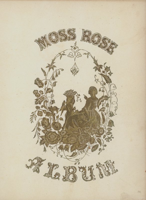 Ilustração da capa do álbum Moss Rose (litografia a cores) de English School
