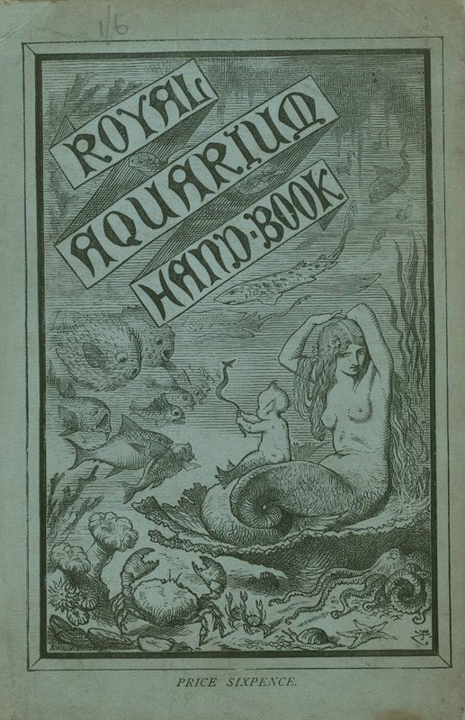 Capa do Manual do Aquário Real de English School