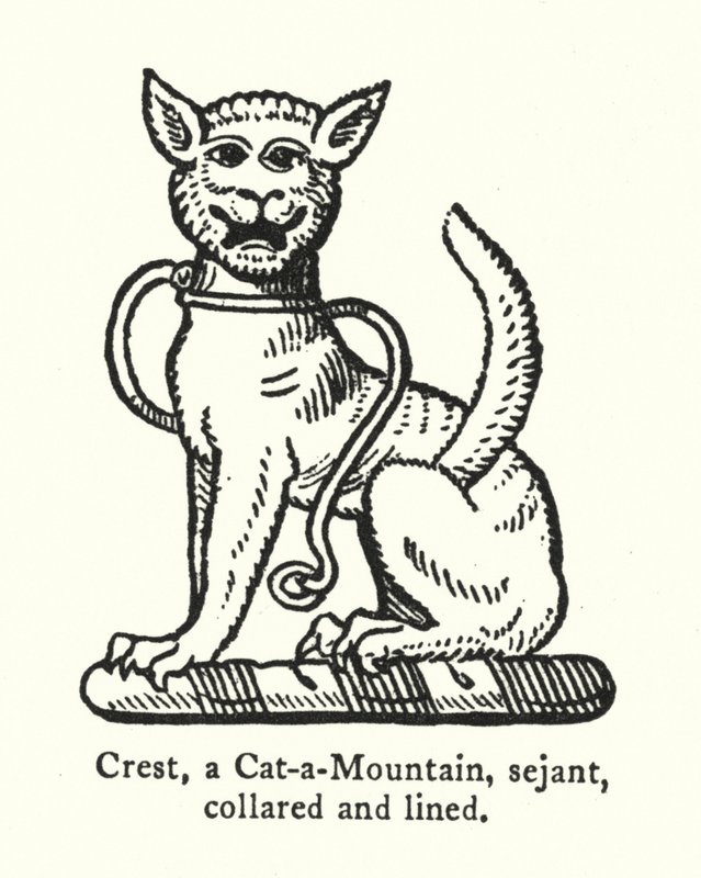 Crest, um Cat-a-Mountain, sejant, colarinho e forrado (gravura) de English School