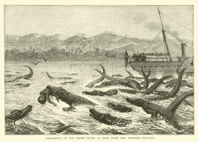 Crocodilos no rio Shire, visto do navio pioneiro de English School