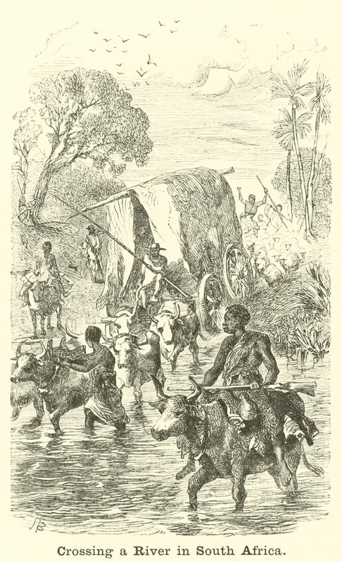 Atravessando um rio na África do Sul de English School