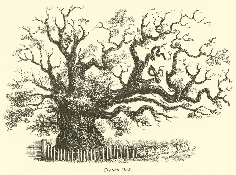 Crouch Oak de English School