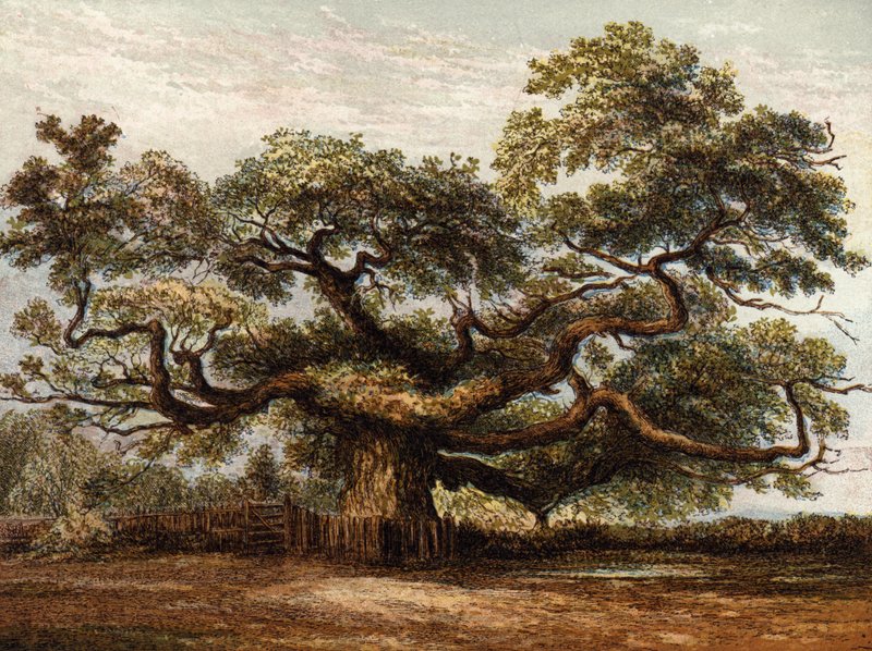 Crouch Oak, Addlestone de English School